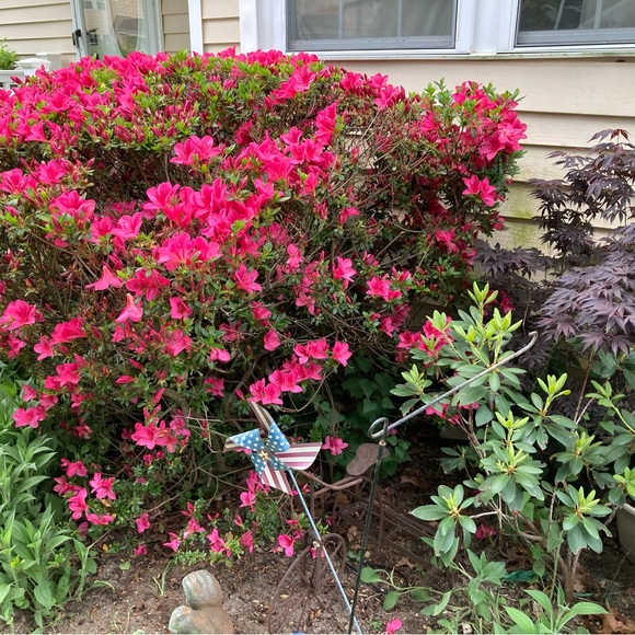 Meet your Posher, Barbara - Picture 5 of 6